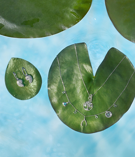 Crystal Jewelry Accessories Watches Figurines Swarovski